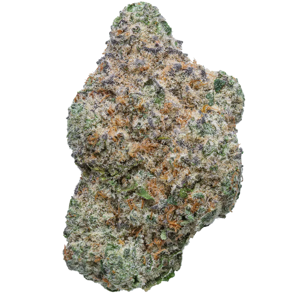 Premium THCA Flower (I) Black Ice / 28G (Reg. Price $215)